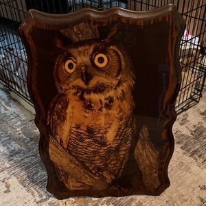 Lacquered Plaque Owl Wall Art with Wooden